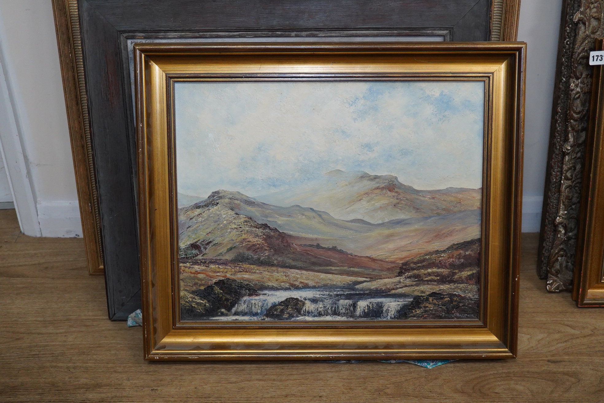 Dennis Harper (b. 1940), oil on canvas, Mountainous scene with waterfall, signed, 39 x 49cm, gilt framed. Condition - fair to good, would benefit from a clean